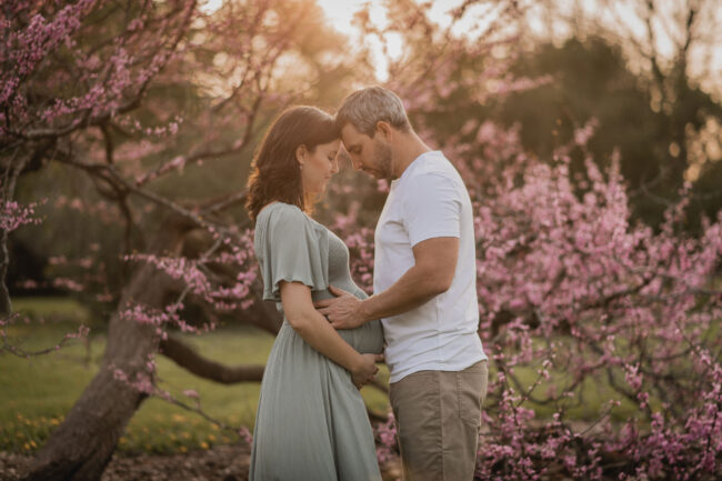 Guelph Spring Sunset Maternity Photography Arboretum