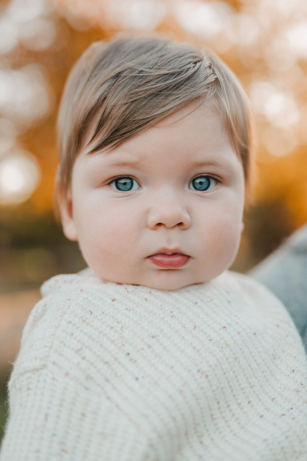 guelph family photographer