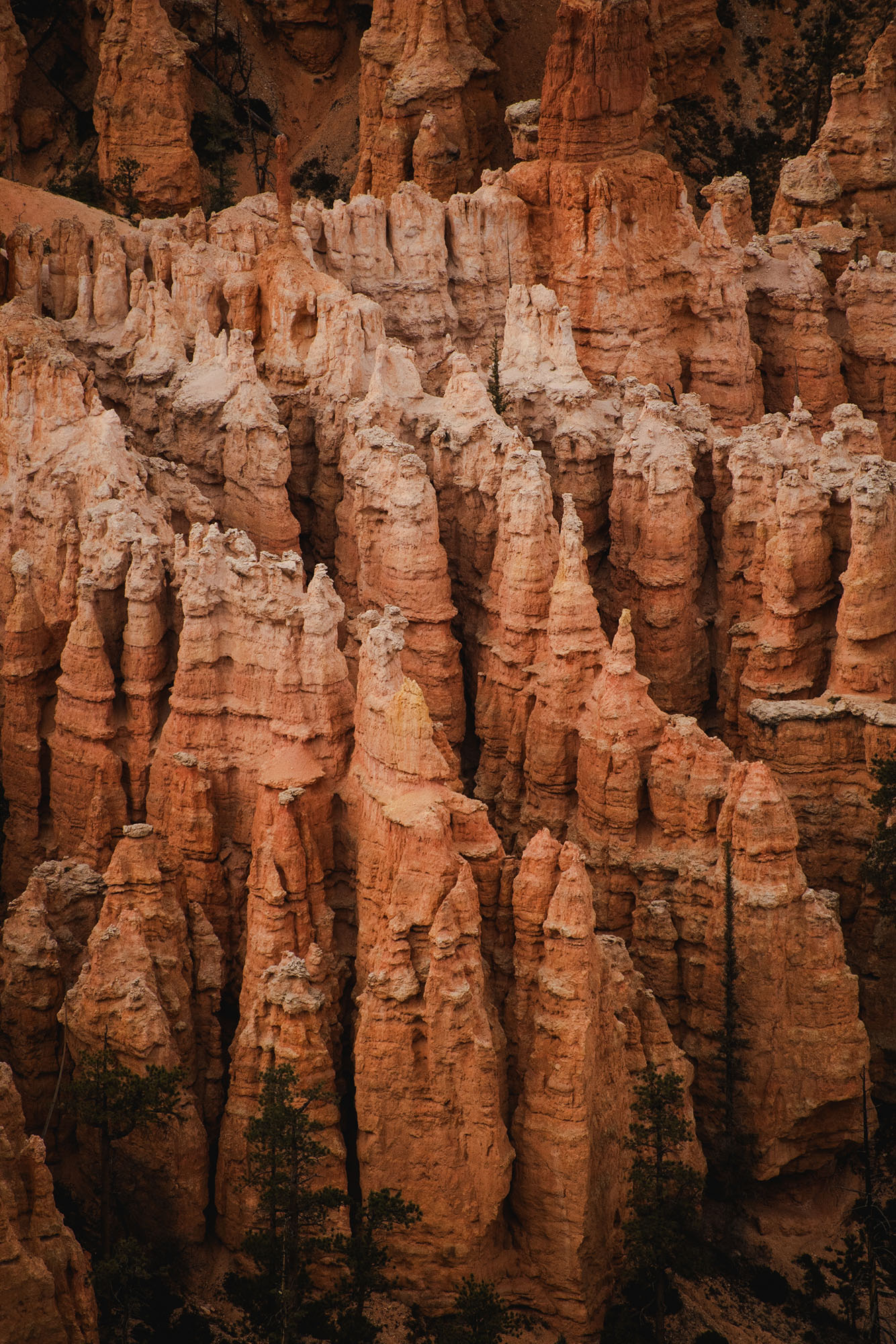 Bryce Canyon landscape photography