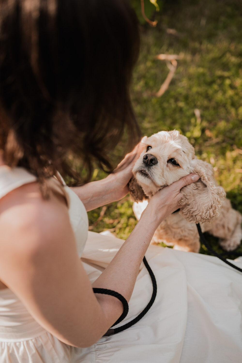 pet family photography guelph kitchener