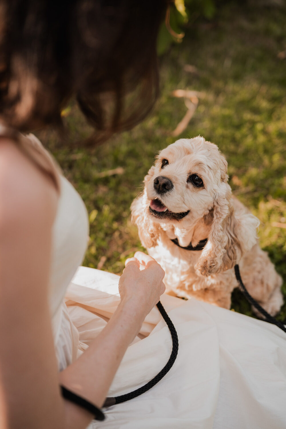 pet family photography guelph arboretum