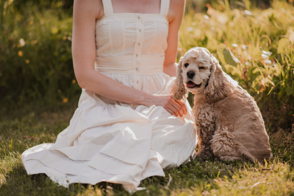 pet photography guelph