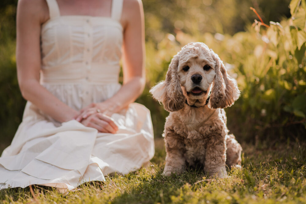 pet photography guelph arboretum