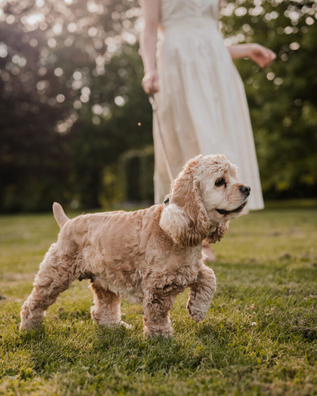 pet photography guelph arboretum
