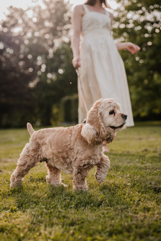 pet photography guelph arboretum