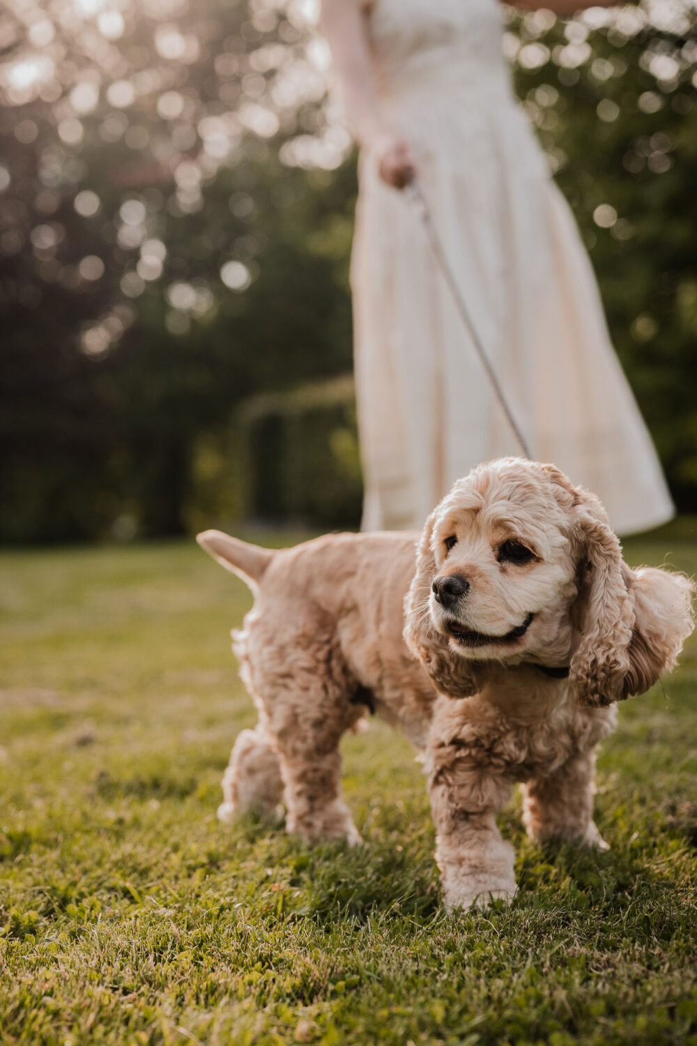 pet family photography guelph arboretum
